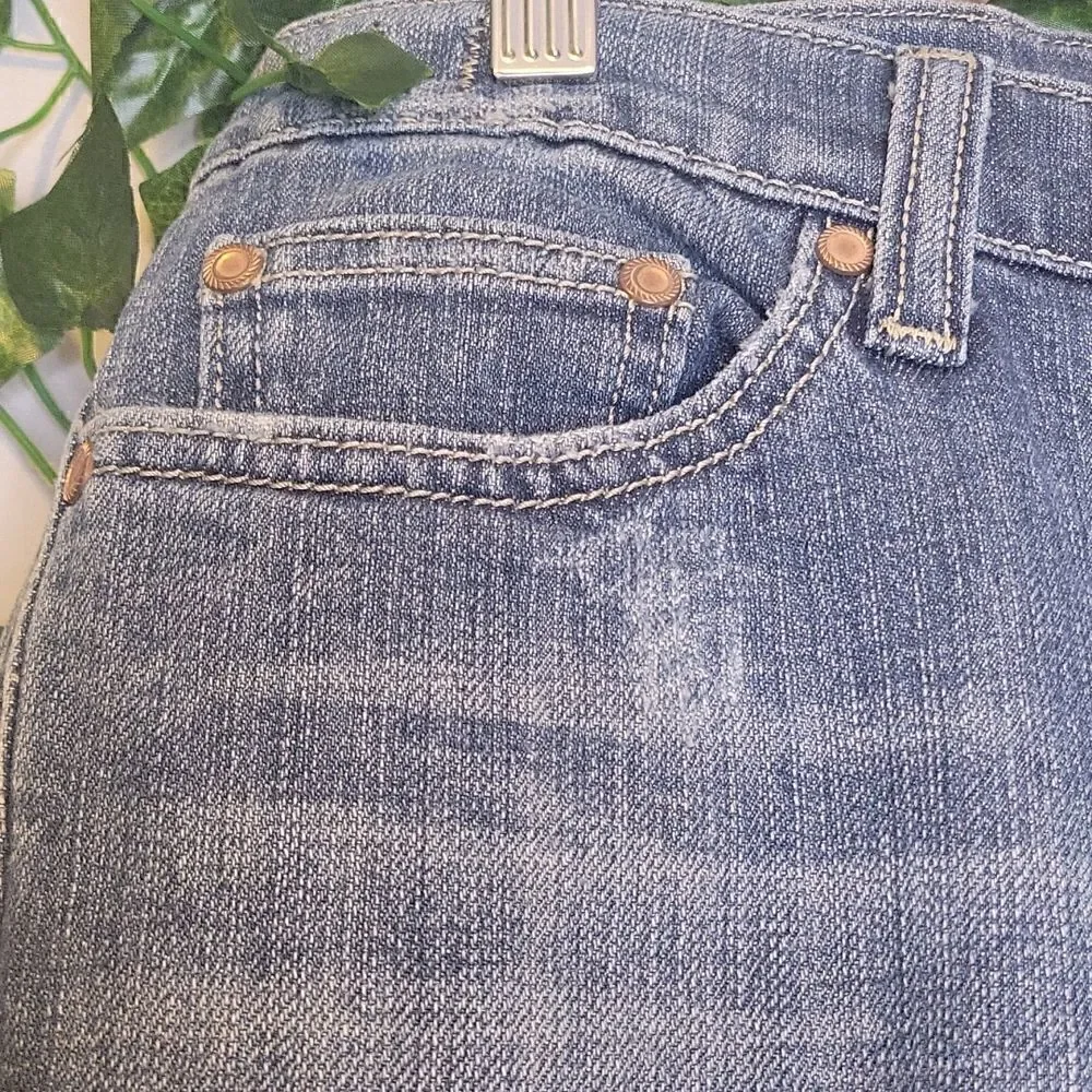 Vigoss. Capri jeans. Size 9/10. Embroidery. Sun, Peacock. EUC